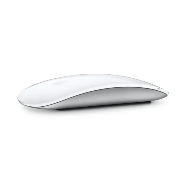 MAGIC MOUSE (MK2E3AM/A MRMQ3ZE/A)